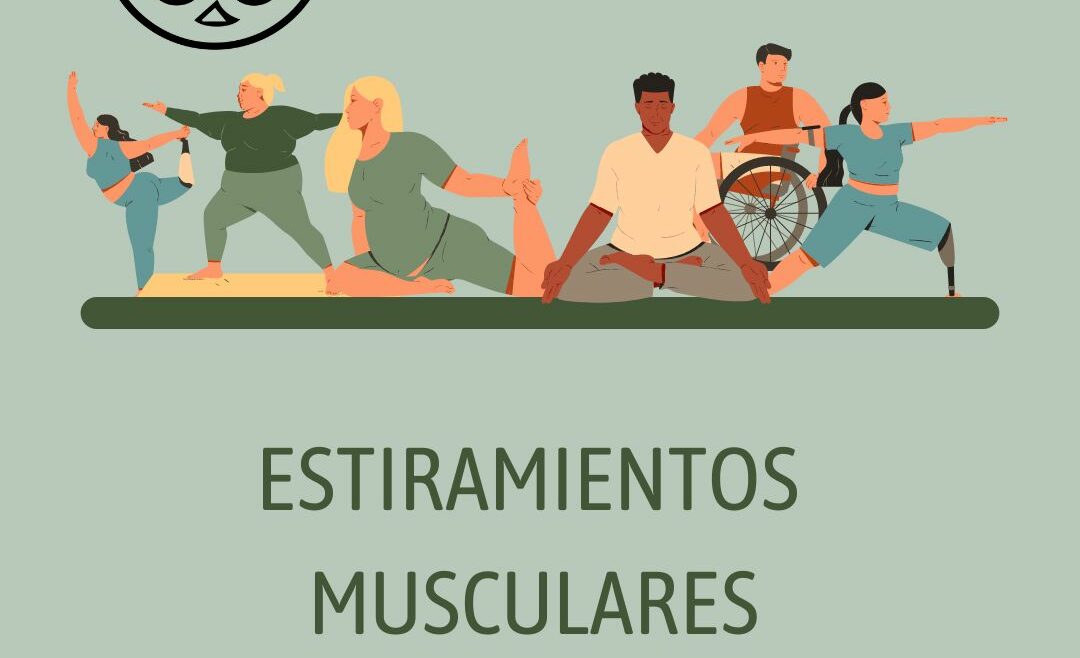 ESTIRAMIENTOS DE CADENAS MUSCULARES